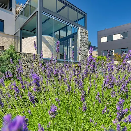 Villa Atalanta With Heated Pool Near The Opatija