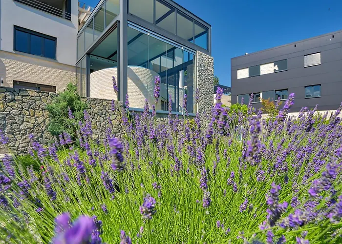 Villa Atalanta With Heated Pool Near The Opatija